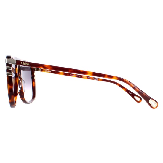 Gafas de sol Chloe CH0104S 007 brillante medio havana gris degradado - Image 3