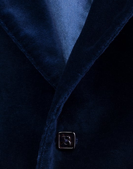 Blazer Lion - Image 4