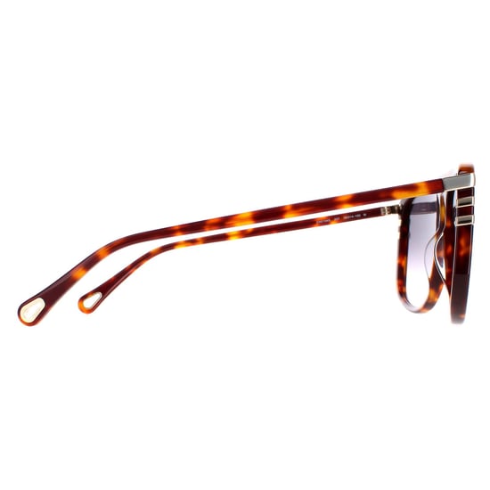 Gafas de sol Chloe CH0104S 007 brillante medio havana gris degradado - Image 4