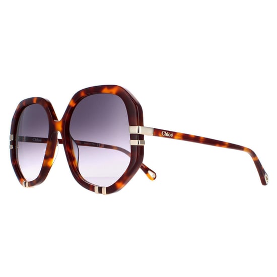 Gafas de sol Chloe CH0105S 004 Gris tortuga degradado - Image 2