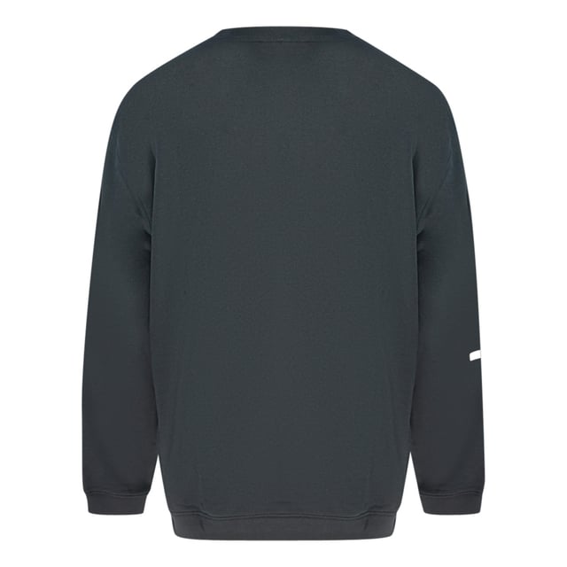 Sueter clearance marca champion